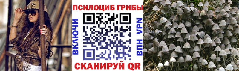 shop Telegram  Шацк  Галлюциногенные грибы прущие грибы  даркнет сайт  блэк спрут ссылки 